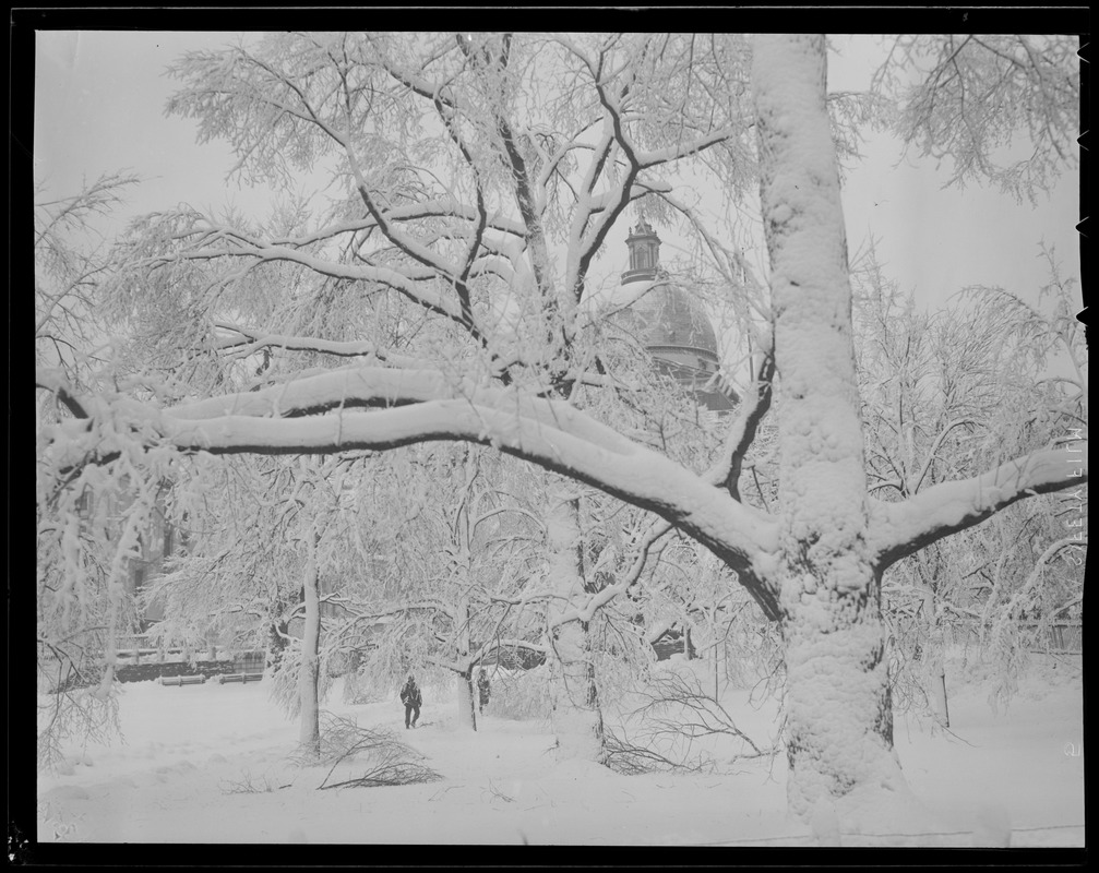 Snow scene, Boston Common