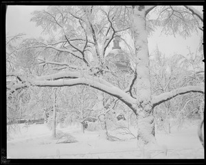 Snow scene, Boston Common