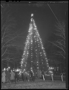 Christmas tree lit on Boston Common