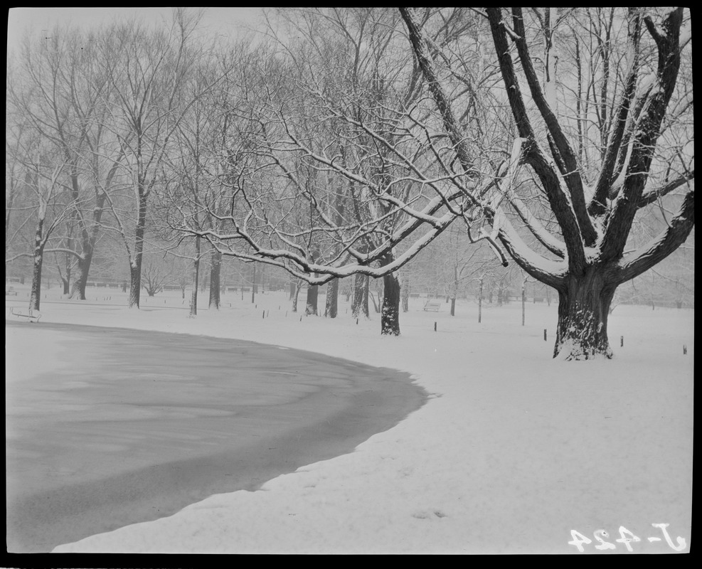 Boston park, possibly Common, in snow