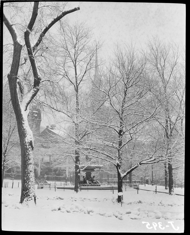 Snow scene, Boston Common