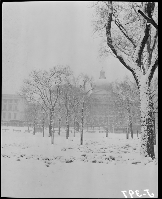 Boston Common near State House in snow