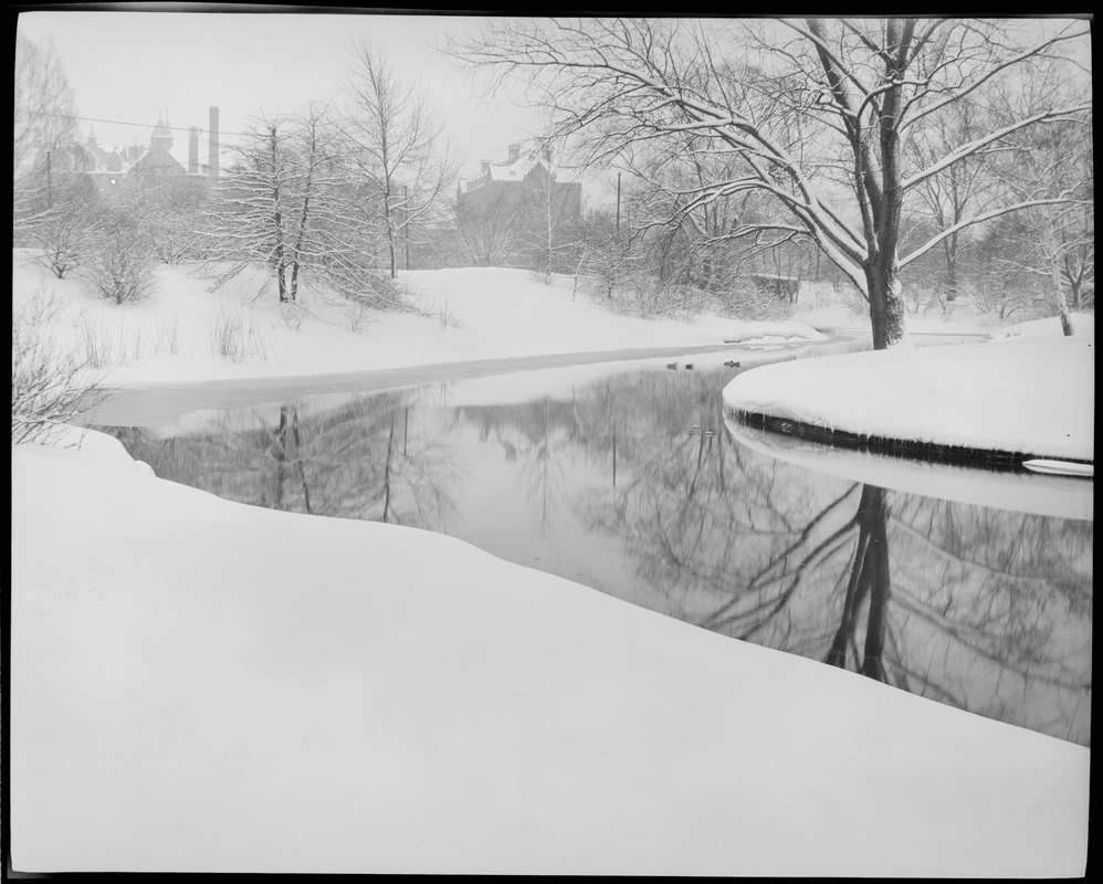 Olmsted parks in snow