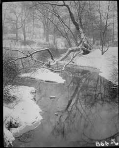 Olmsted parks in snow