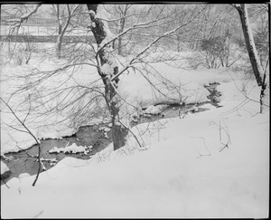 Olmsted parks in snow