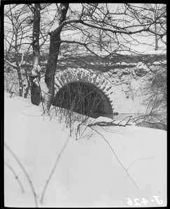 Bridges in snow, Olmsted parks