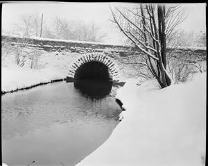 Bridges in snow, Olmsted parks