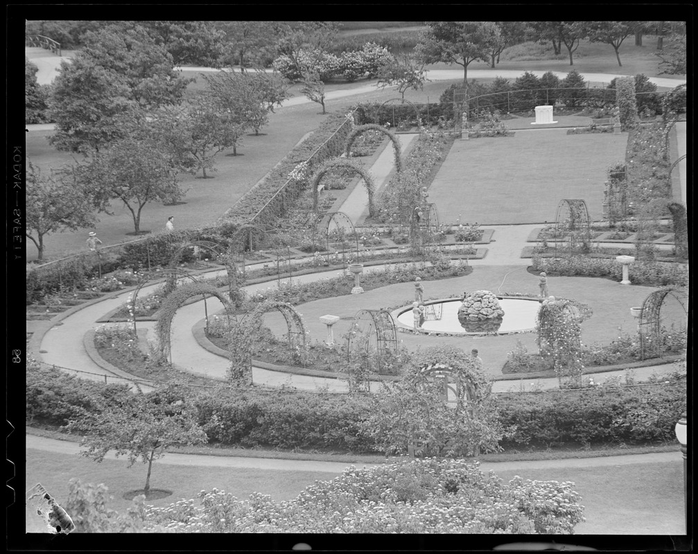 Rose Garden Digital Commonwealth