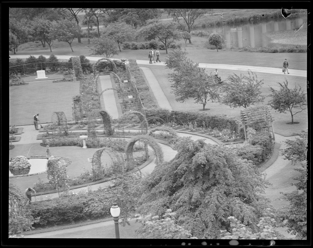 Rose Garden Digital Commonwealth