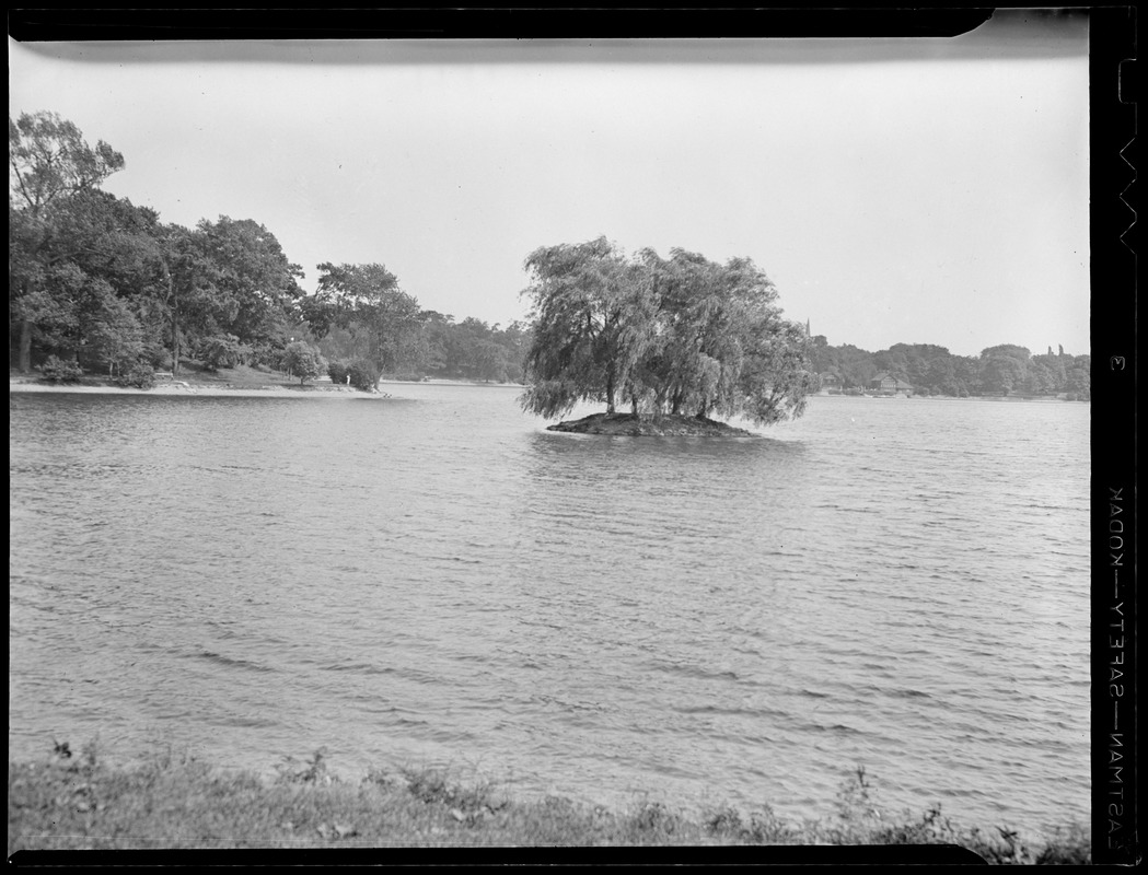 Island in Jamaica Pond
