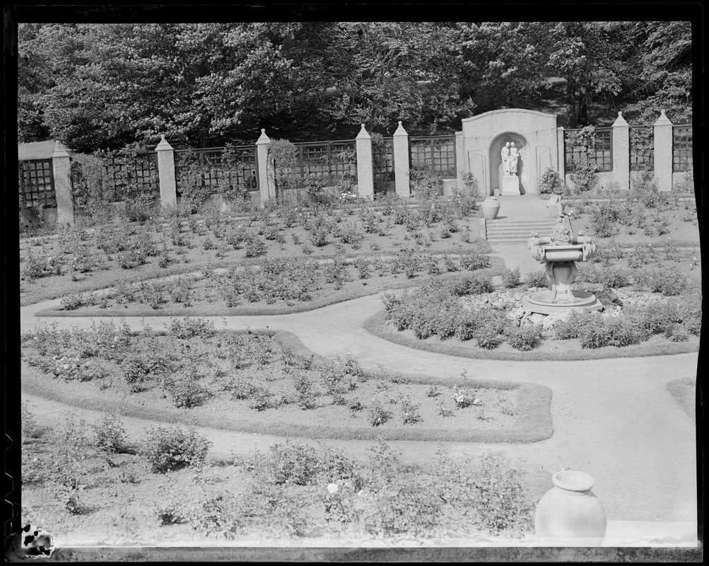 Franklin Park rose garden