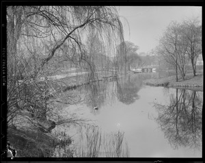 The Fenway toward foot bridge