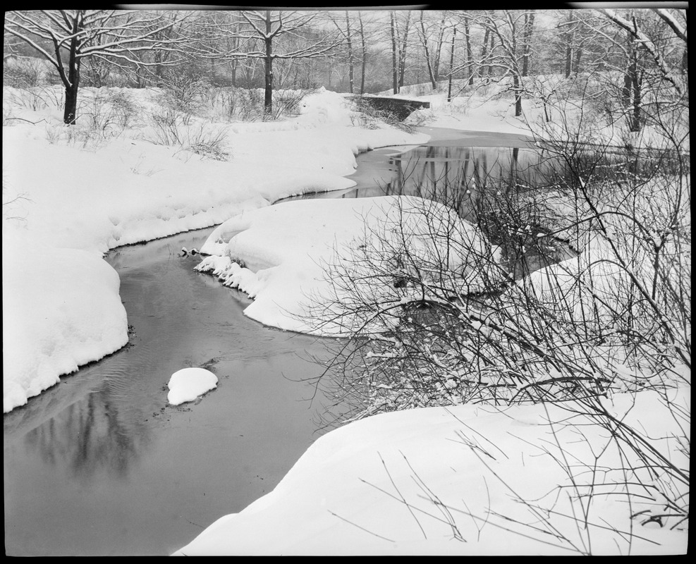 Olmsted parks in snow