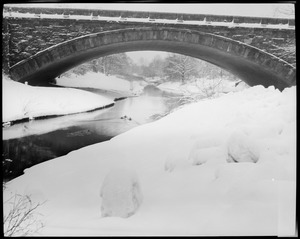 Bridge in the Fenway in the snow