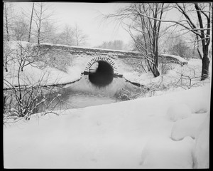 Snow scene with bridge in the Fenway