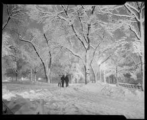 Park in the snow