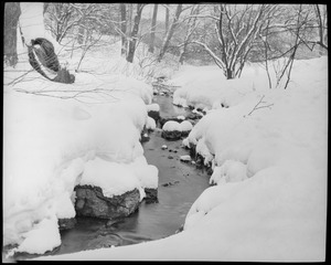 Stream in the Fenway in the snow