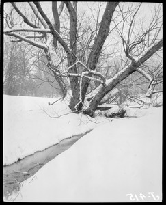 Stream in the snow, possibly Fenway or Franklin Park
