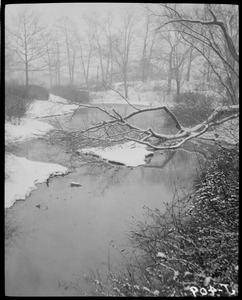 Stream in the snow, possibly Fenway or Franklin Park