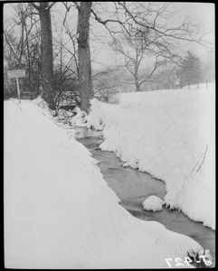 Stream in the snow, possibly Fenway or Franklin Park
