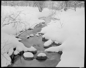 Stream in the snow, possibly Franklin Park or Arboretum