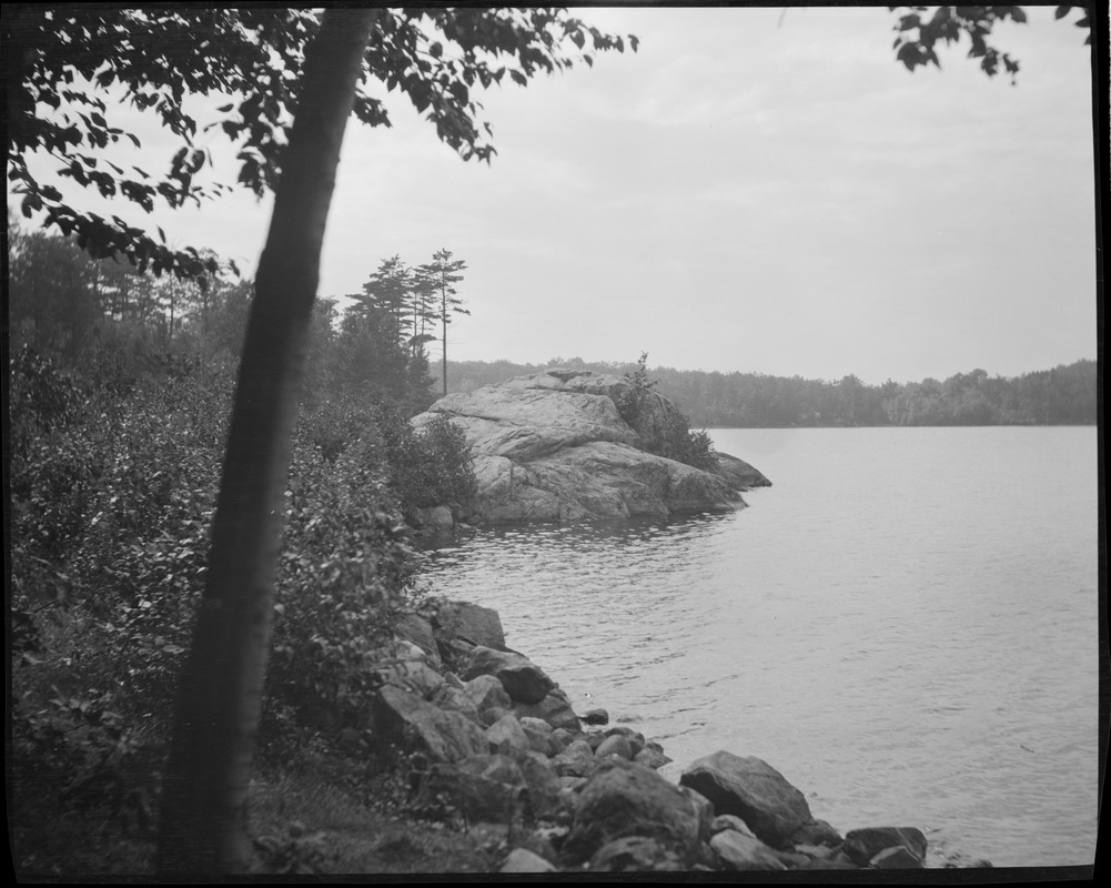 Jamaica Pond Digital Commonwealth   Image Access 800 