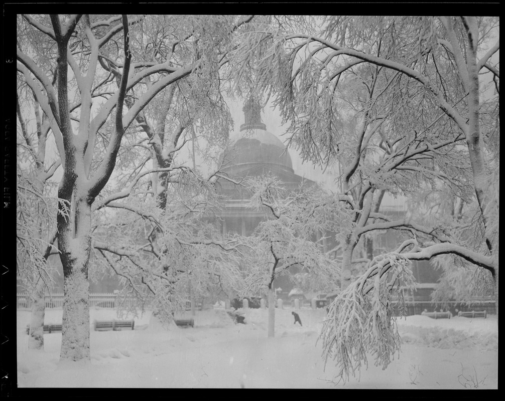 State House framed by snowy trees