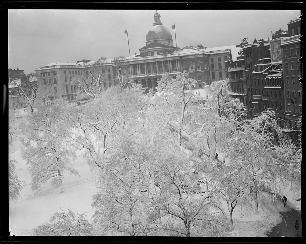State House and Common, in the snow