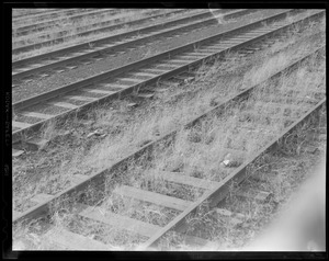 Railroad tracks, South Boston Waterfront, North Side of Fish Pier