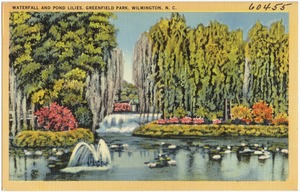 Waterfall and pond Lilies, Greenfield Park, Wilmington, N. C.