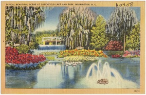 Typical beautiful scene at Greenfield Lake and Park, Wilmington, N. C.