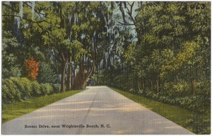 Scenic drive, near Wrightsville Beach, N. C.