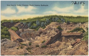 Iron log in Cedar Canyon, North Dakota Badlands