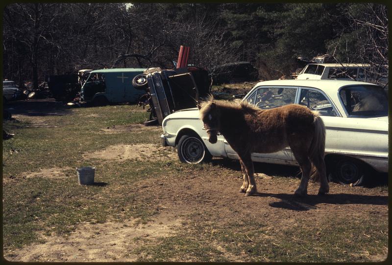 Auto junk yard, Marion, Mass. Digital Commonwealth