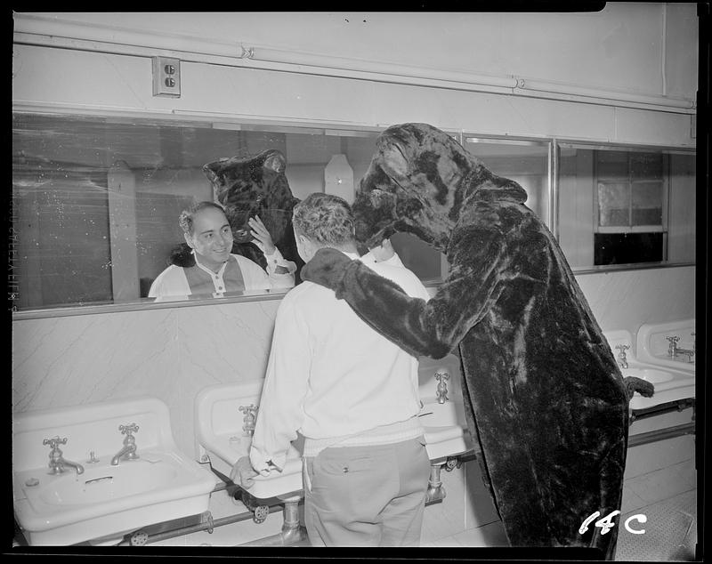 Bear and man looking in mirror