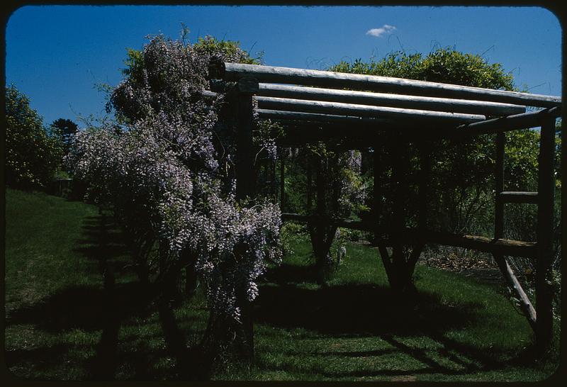 Pergola in Arnold Arboretum, Boston