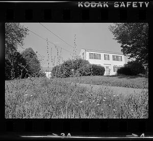 Foliage scenes