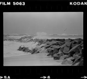 Salisbury beach surf