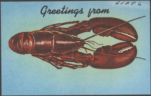 Greetings from