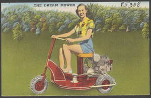 The dream mower