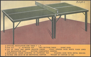 Official regulation size table 5' x 9'