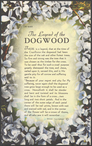 The legend of the dogwood