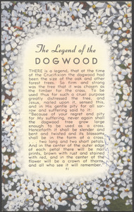 The legend of the dogwood