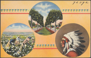 Tree-lined road. People picking cotton. A Native American man wearing headdress in profile