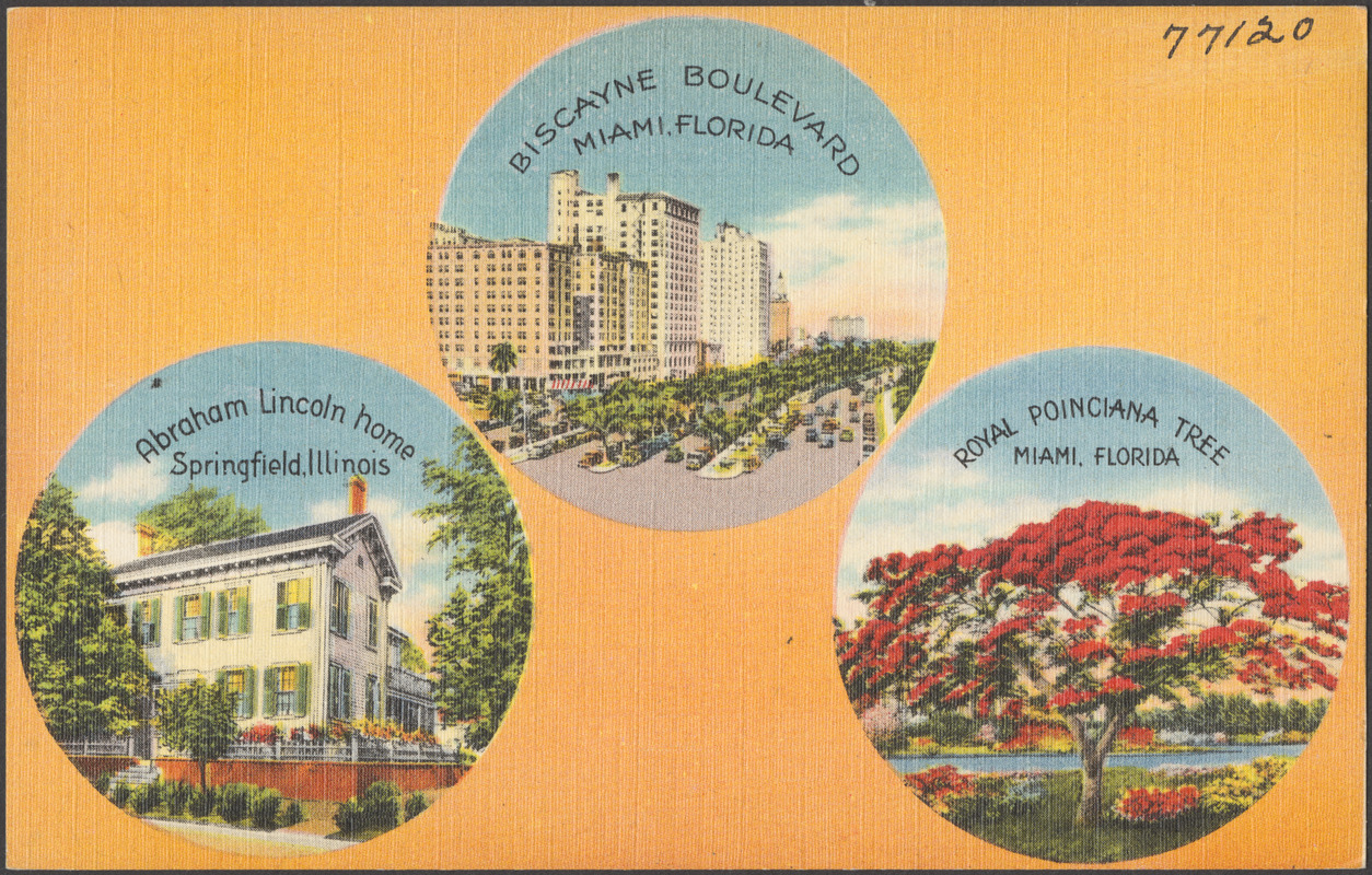 Biscayne Boulevard, Miami, Florida. Abraham Lincoln home, Springfield, Illinois. Royal Poinciana tree, Miami, Florida