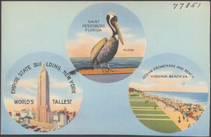 Saint Petersburg, Florida, pelican. Empire State Building, New York, world's tallest. Ocean promenade and beach, Virginia Beach, Va.