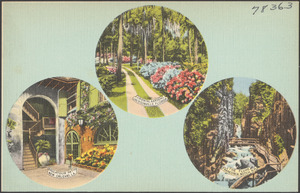 Oriental Gardens, Jacksonville, Florida. Brulatour Patio, New Orleans, La. The flume, Franconia Notch, N.H.