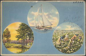 Sailboat. People picking cotton. A road by water