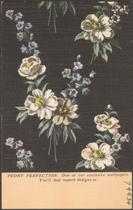 Peony perfection. One of our exclusive wallpapers