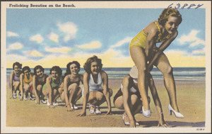 Frolicking beauties on the beach
